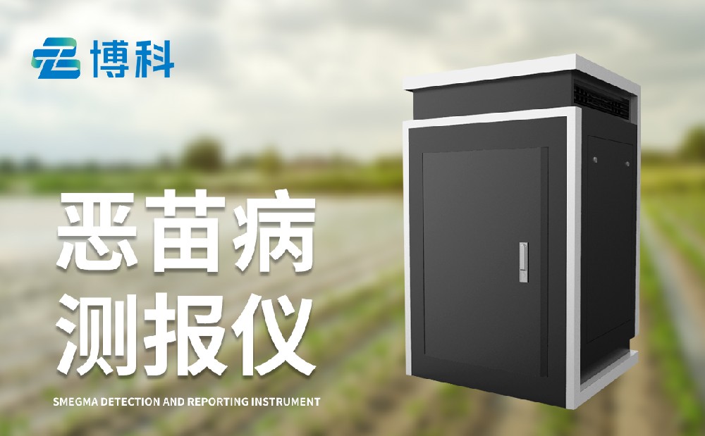 水稻惡苗病的危害有哪些，惡苗病測(cè)報(bào)儀為病害防治提供數(shù)據(jù)支持